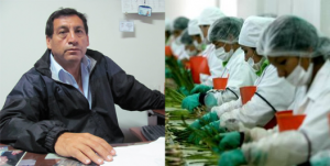 Codehica rechaza que ONG busquen desestabilizar a empresas exportadoras peruanas