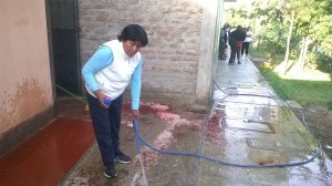 Los Molinos: Pobladora denuncia amedrentamiento por defender el agua