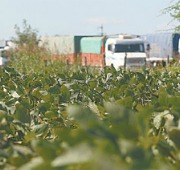 Con la lupa sobre Monsanto