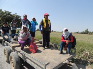 VIDEO: Situación de las intoxicaciones en los fundos de Agro exportación de Ica