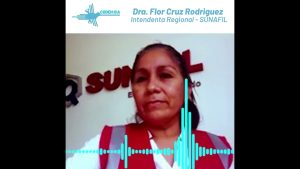 Empresa y Derechos Humanos desde la mirada de SUNAFIL ICA