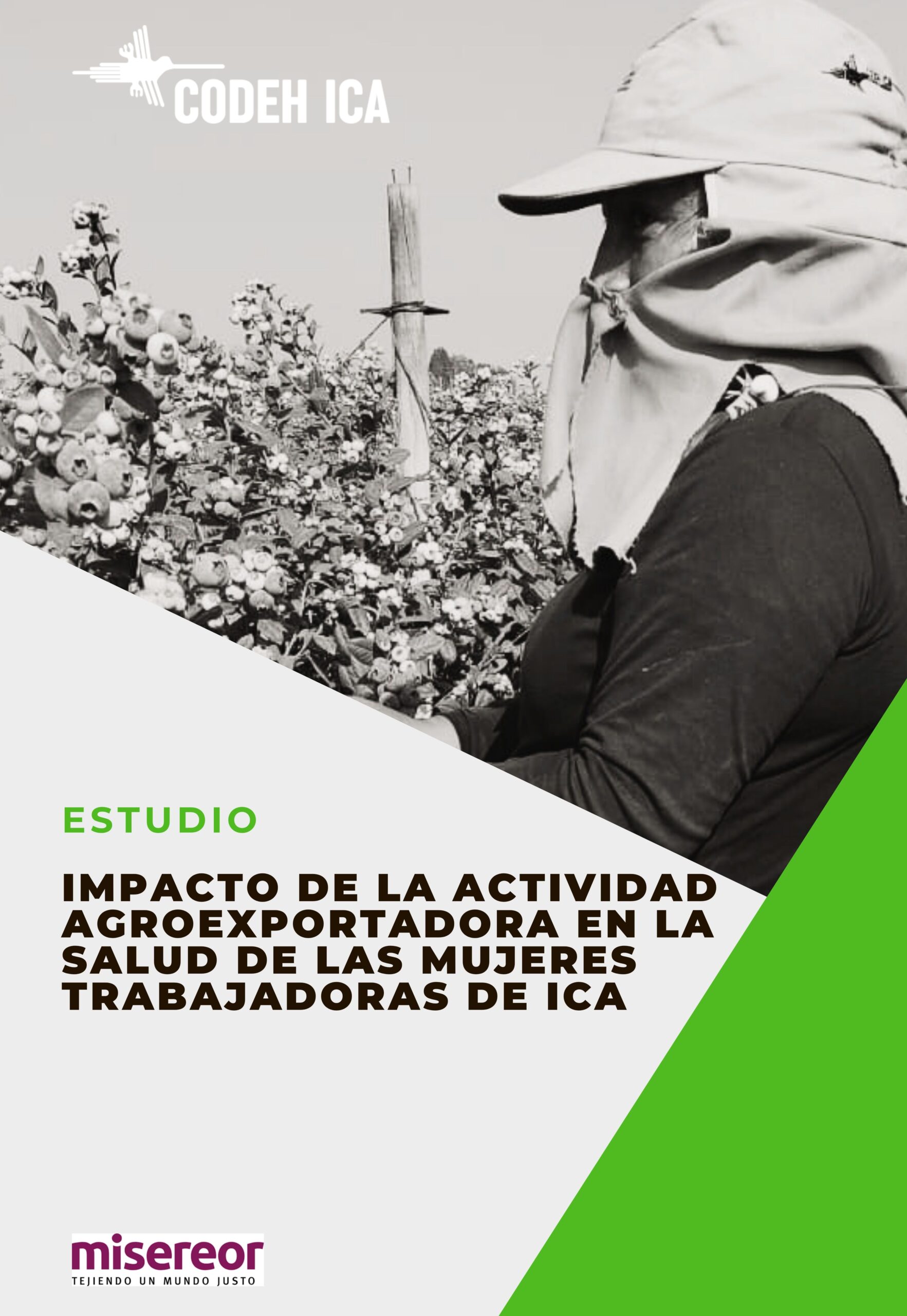 ESTUDIO «IMPACTO DE LA ACTIVIDAD AGROEXPORTADORA EN LA SALUD DE LAS MUJERES TRABAJADORAS DE ICA»